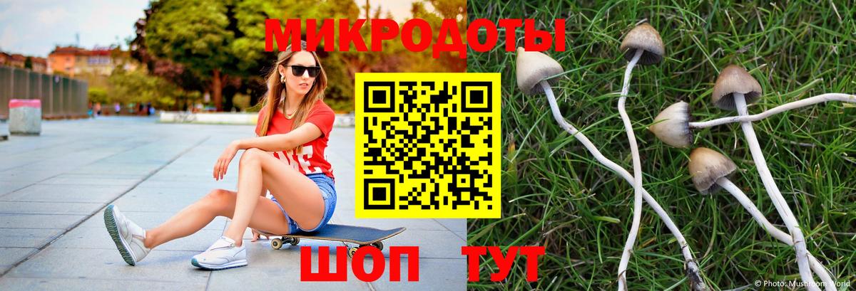 Галлюциногенные грибы прущие грибы  Вход с VPN  Чебоксары 