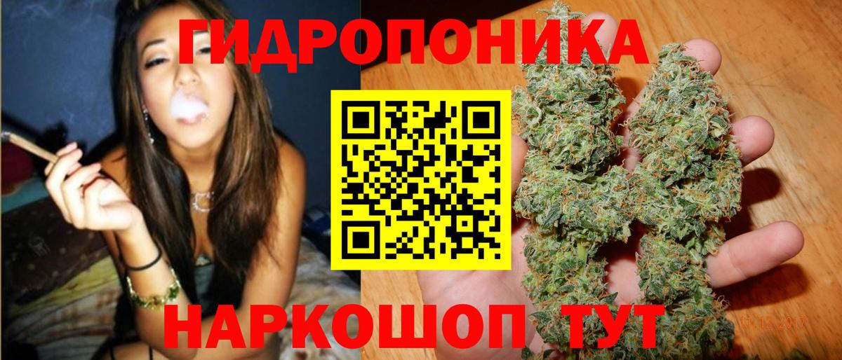 Каннабис White Widow  Вход с VPN  Конопля конопля  Бошки Шишки VHQ  Бошки марихуана конопля  Чебоксары 